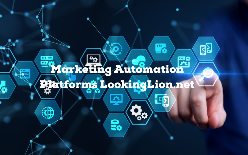 Marketing Automation Platforms LookingLion.net Boosting Your Marketing Efforts